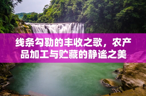 线条勾勒的丰收之歌，农产品加工与贮藏的静谧之美