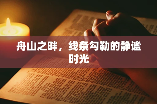 舟山之畔，线条勾勒的静谧时光