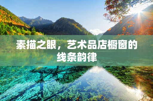素描之眼，艺术品店橱窗的线条韵律