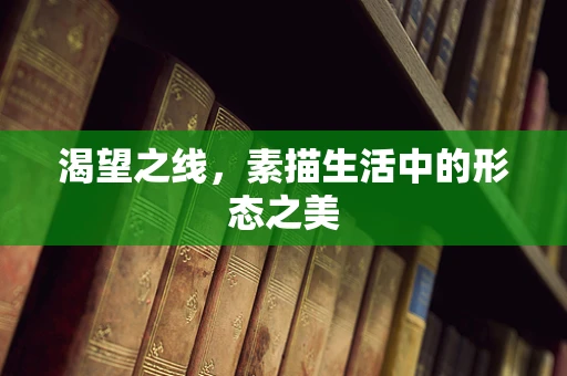 渴望之线，素描生活中的形态之美