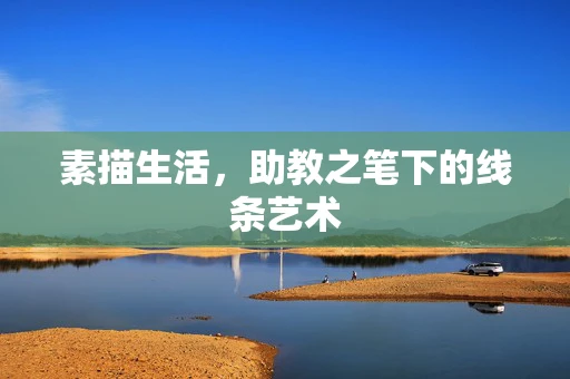 素描生活，助教之笔下的线条艺术
