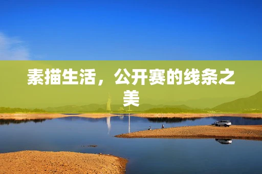 素描生活，公开赛的线条之美