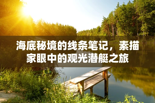 海底秘境的线条笔记，素描家眼中的观光潜艇之旅