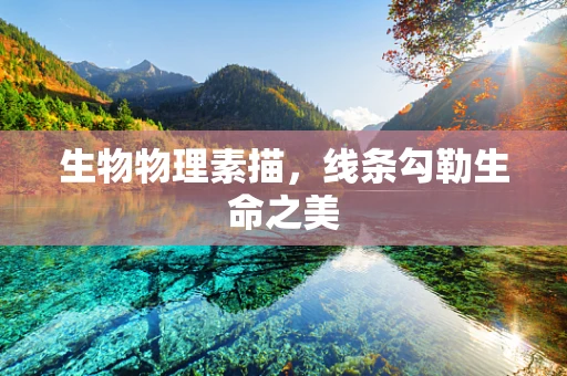 生物物理素描，线条勾勒生命之美