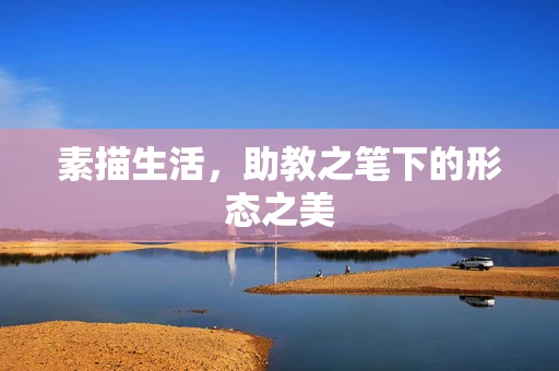 素描生活，助教之笔下的形态之美