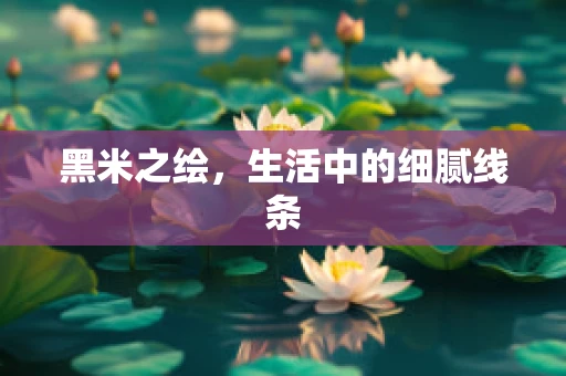 黑米之绘，生活中的细腻线条
