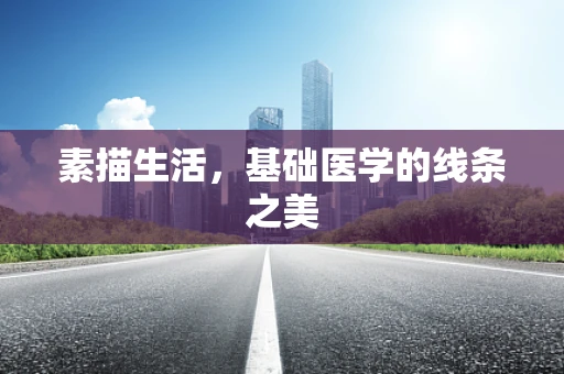 素描生活，基础医学的线条之美
