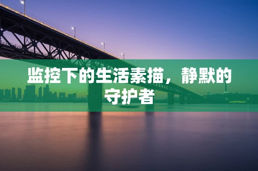 监控下的生活素描，静默的守护者
