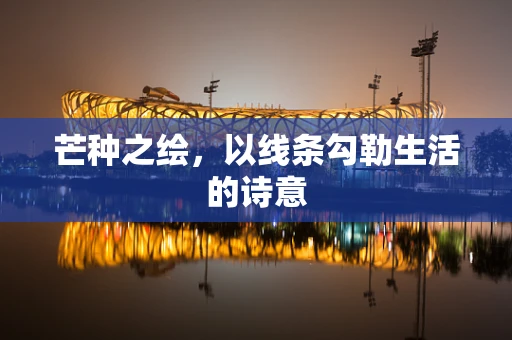 芒种之绘，以线条勾勒生活的诗意