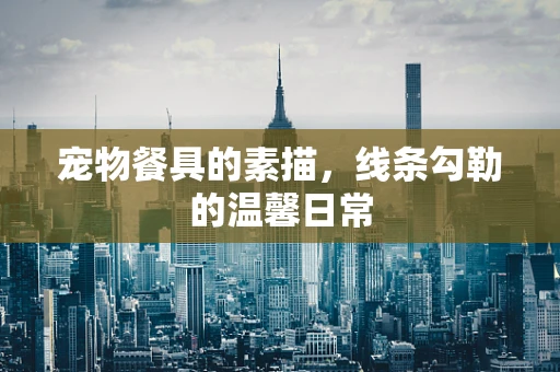 宠物餐具的素描，线条勾勒的温馨日常
