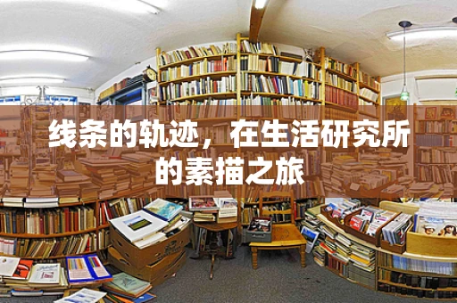 线条的轨迹，在生活研究所的素描之旅