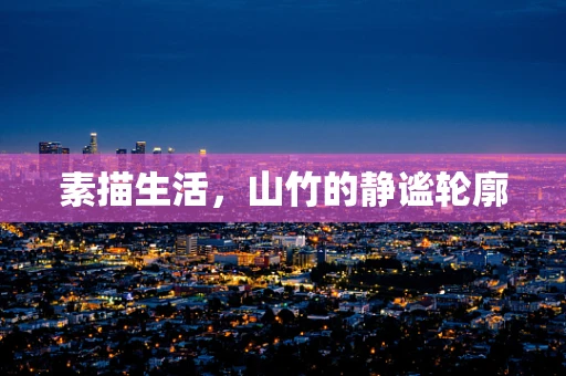 素描生活，山竹的静谧轮廓
