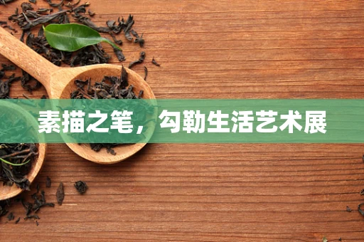 素描之笔，勾勒生活艺术展
