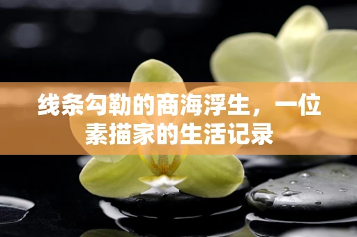 线条勾勒的商海浮生，一位素描家的生活记录