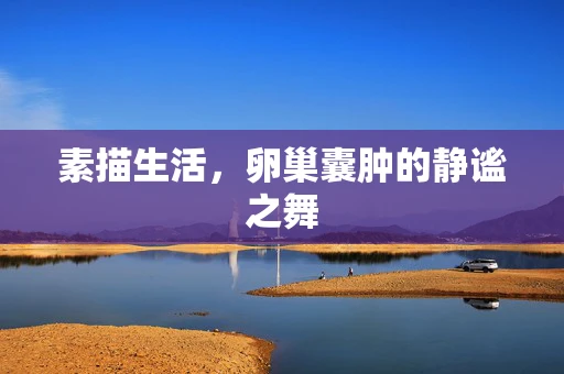 素描生活，卵巢囊肿的静谧之舞