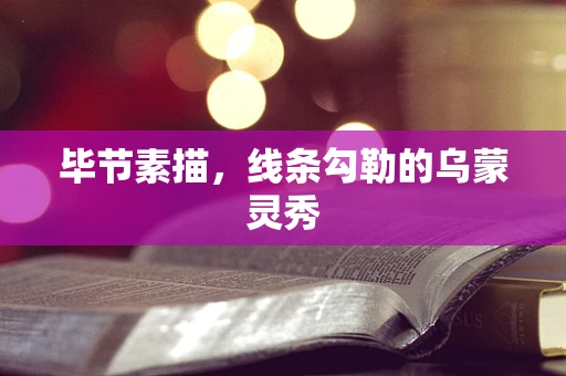 毕节素描，线条勾勒的乌蒙灵秀