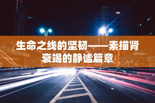 生命之线的坚韧——素描肾衰竭的静谧篇章