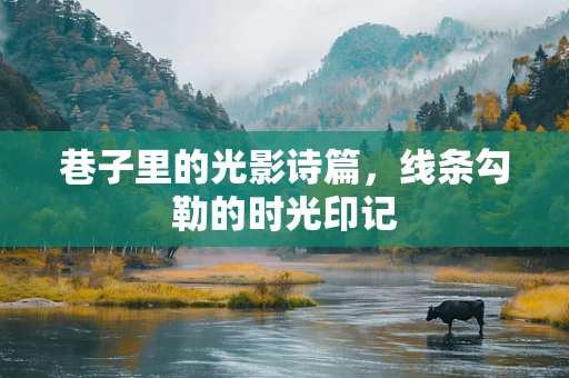 巷子里的光影诗篇，线条勾勒的时光印记