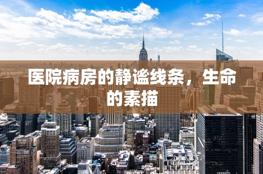 医院病房的静谧线条，生命的素描