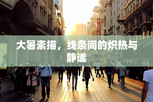 大暑素描，线条间的炽热与静谧