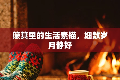 簸箕里的生活素描，细数岁月静好