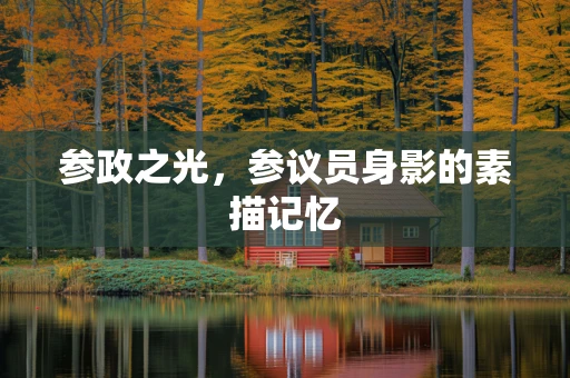 参政之光，参议员身影的素描记忆