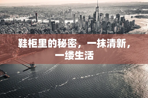 鞋柜里的秘密，一抹清新，一缕生活