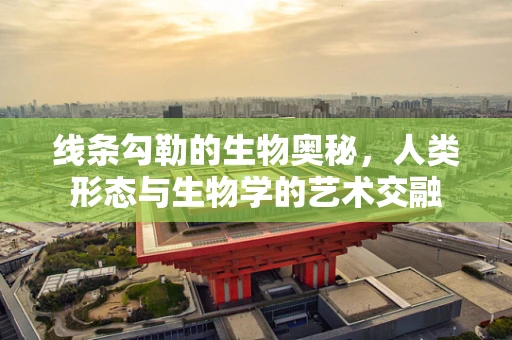 线条勾勒的生物奥秘，人类形态与生物学的艺术交融