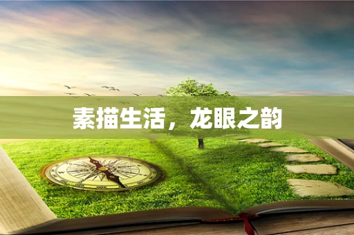 素描生活，龙眼之韵