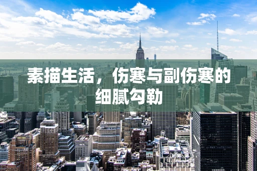 素描生活，伤寒与副伤寒的细腻勾勒