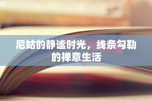 尼姑的静谧时光，线条勾勒的禅意生活