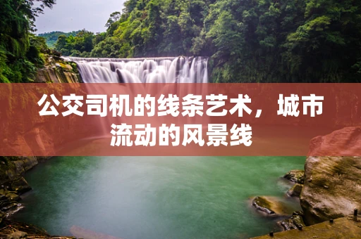 公交司机的线条艺术，城市流动的风景线