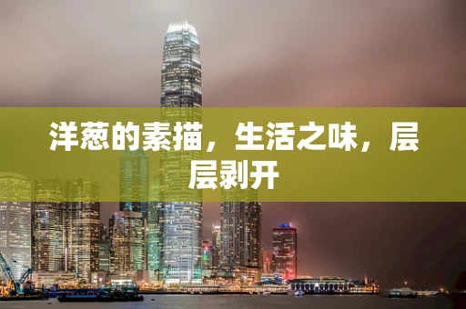 洋葱的素描，生活之味，层层剥开