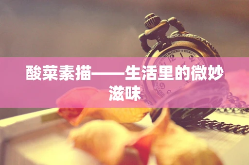 酸菜素描——生活里的微妙滋味