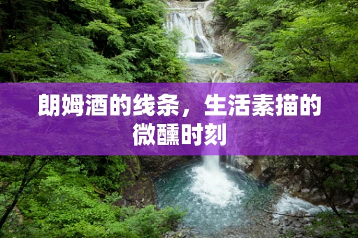 朗姆酒的线条，生活素描的微醺时刻