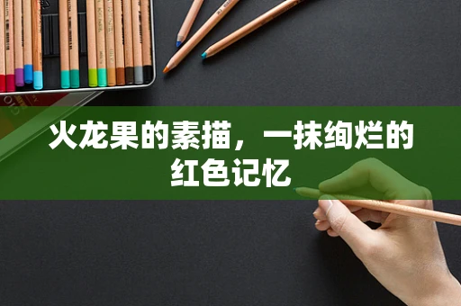 火龙果的素描，一抹绚烂的红色记忆