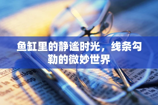 鱼缸里的静谧时光，线条勾勒的微妙世界