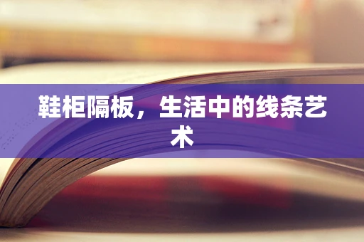 鞋柜隔板，生活中的线条艺术