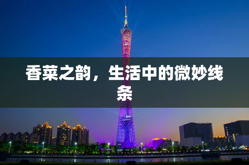 香菜之韵，生活中的微妙线条