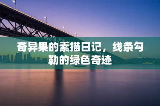 奇异果的素描日记，线条勾勒的绿色奇迹