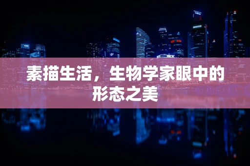 素描生活，生物学家眼中的形态之美