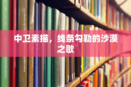 中卫素描，线条勾勒的沙漠之歌