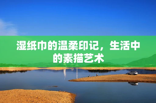 湿纸巾的温柔印记，生活中的素描艺术