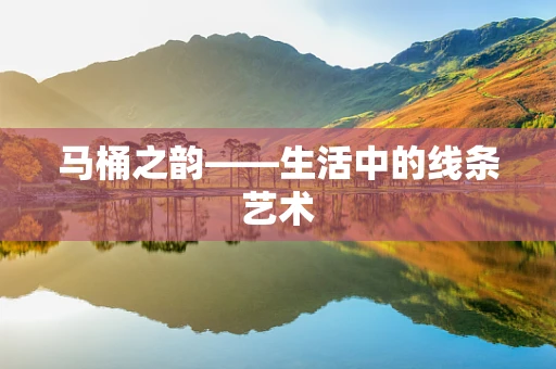 马桶之韵——生活中的线条艺术