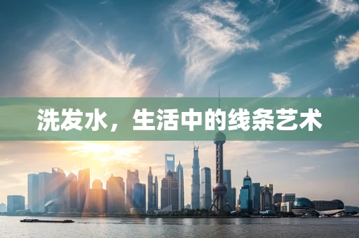 洗发水，生活中的线条艺术