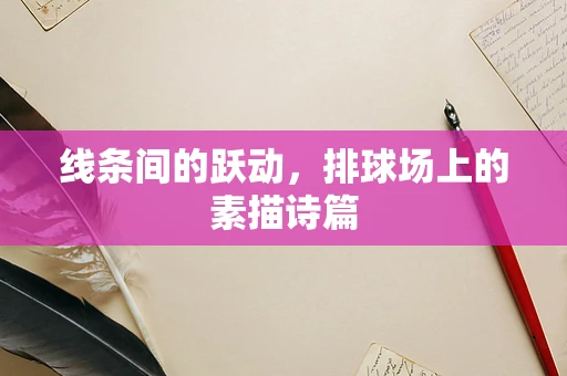 线条间的跃动，排球场上的素描诗篇