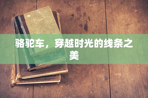 骆驼车，穿越时光的线条之美