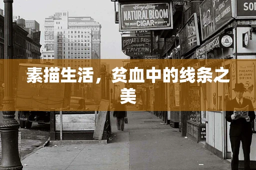 素描生活，贫血中的线条之美