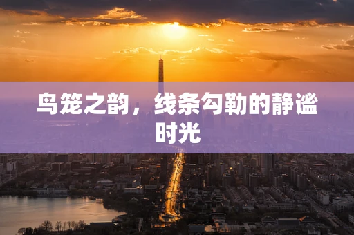鸟笼之韵，线条勾勒的静谧时光