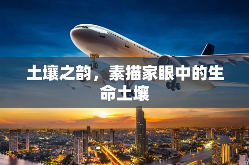 土壤之韵，素描家眼中的生命土壤